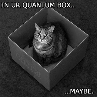 Quantum cat